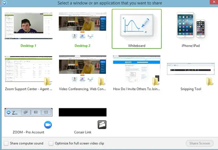 Zoom screen share