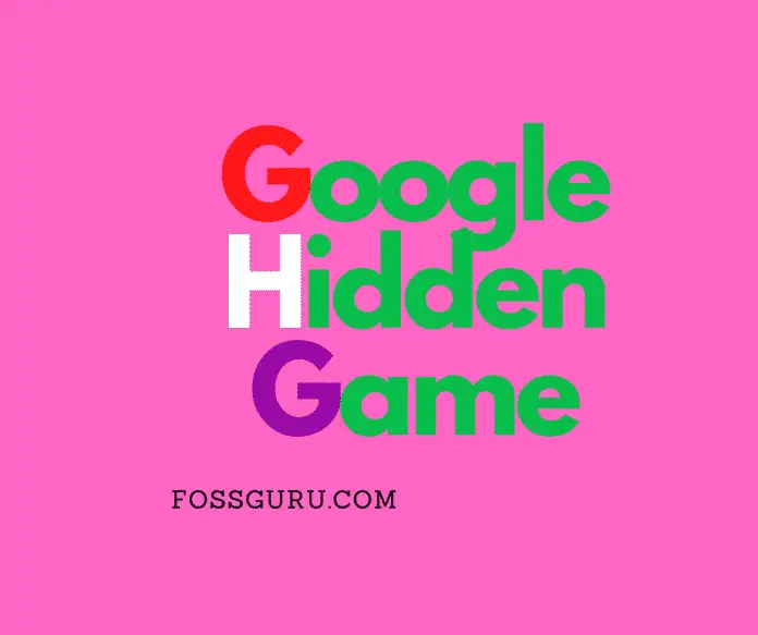 Google Hidden Game