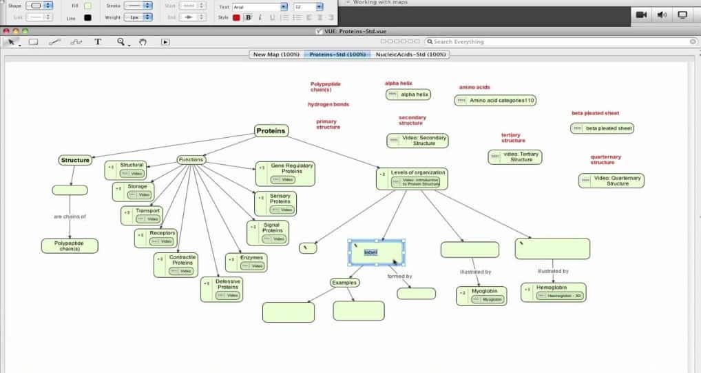 VUE Mind Mapping Software