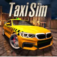Taxi Sim 20
