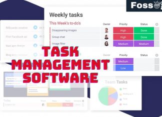 Task Management Software for Windows
