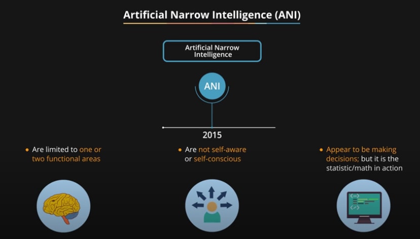 Artificial Narrow Intelligence (ANI)