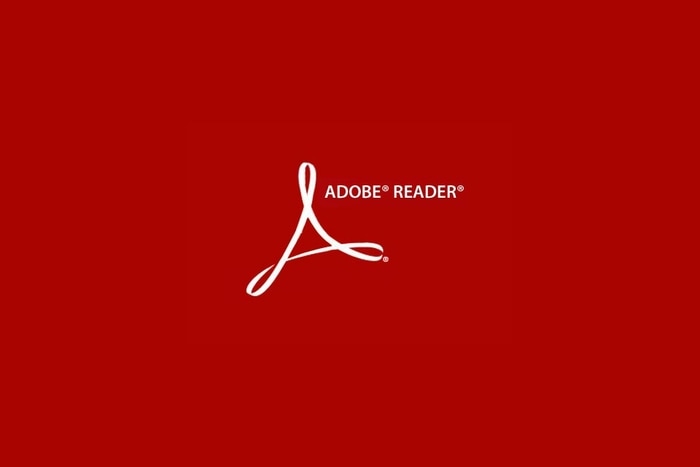 Adobe Acrobat PDF Fillable form