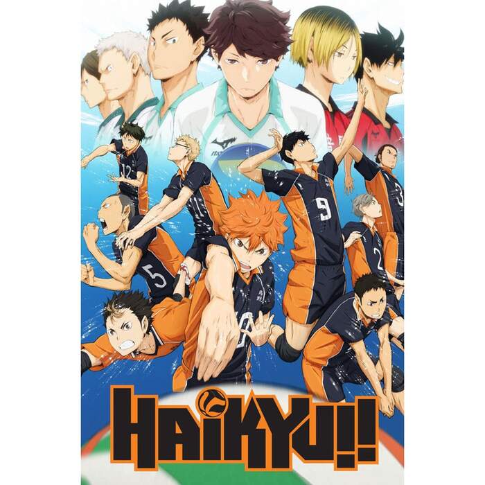 Haikyuu!! (2014) Volleyball Anime
