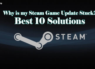 Steam Game Update