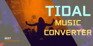 tidal music converter recommendation