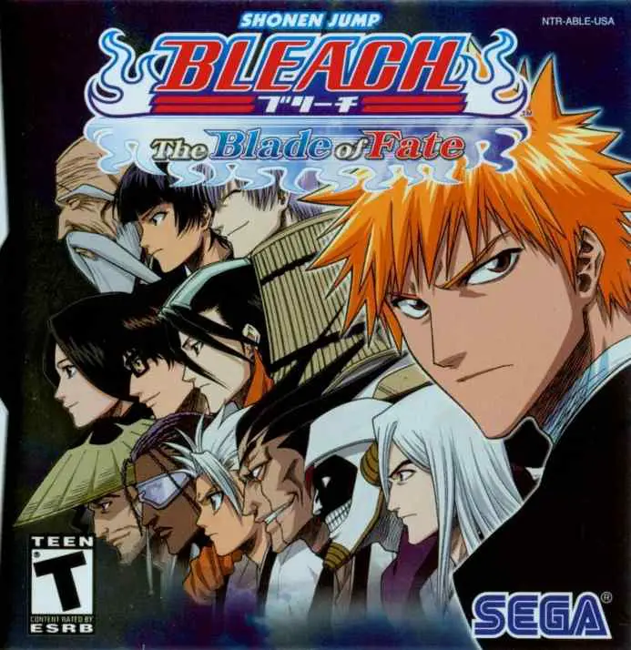 The popular manga and anime series Bleach inspired the fighting game Bleach: The Blade of Fate.