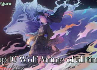 Top 10 Wolf Anime of all time