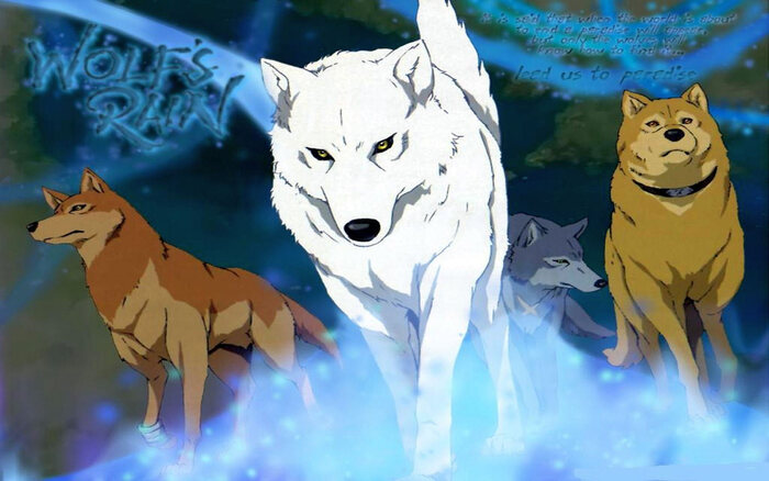 Wolf's Rain Wolf Anime
