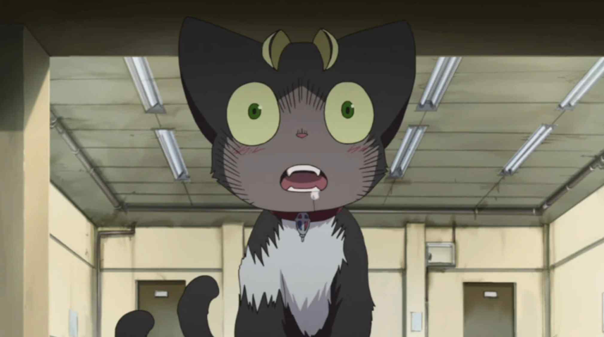 Arthur is an extraordinary cat in the Code Geass anime series.